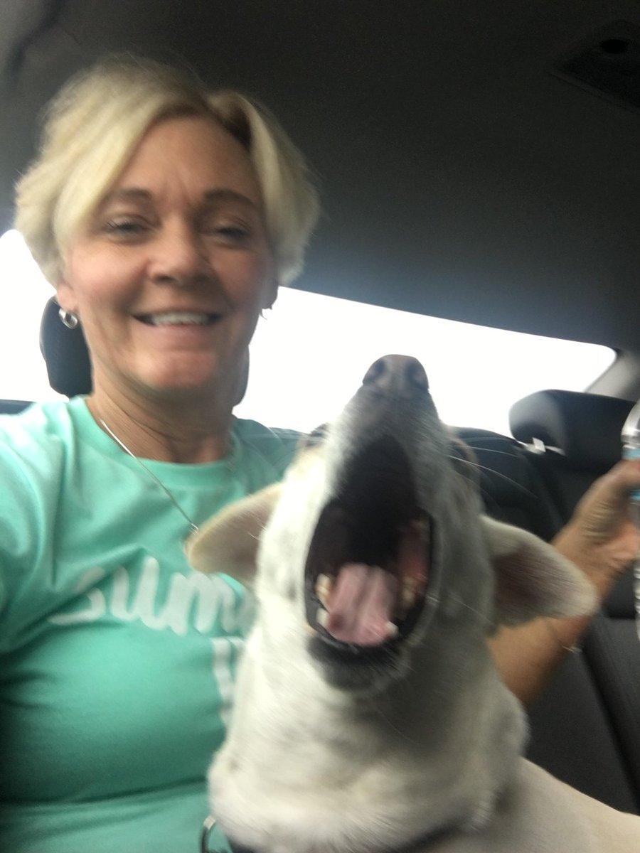 Whitney Jones (@jones68wj) on Twitter photo 