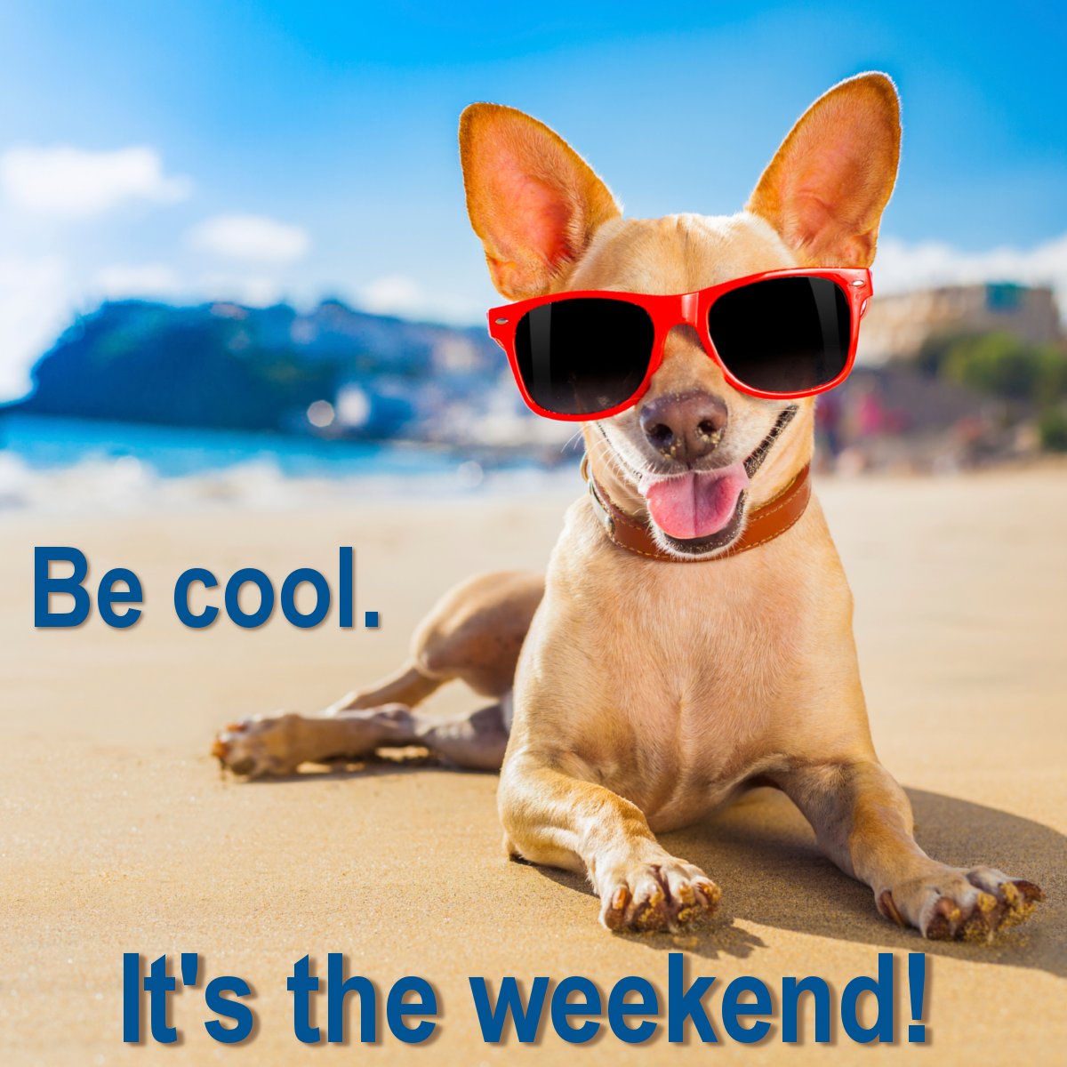 fngirlnms's tweet photo. #authorsl #ff Have an awesome weekend everyone β€ @amit_singh2506 @JoyHorny1 @davidscottauth @MA_books @BlackReign63 @ZakHardacre @NOTM_1 @AlDaltrey @badboy_JKane @EthanRadcliff40 @tomspeed29 https://t.co/e9TQi6oK0L