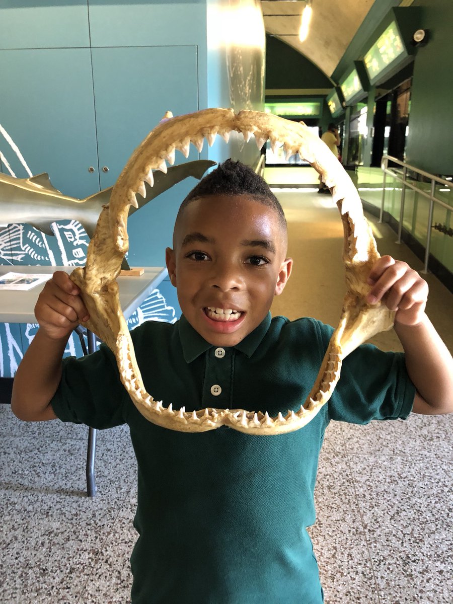 NuriaRibas6's tweet photo. Aquarium field trip. Learning through experience 🐬. Lots of fun #staycommited #first grade #BeTheChange @LegacyPCADFW https://t.co/4GrYCtHLQU