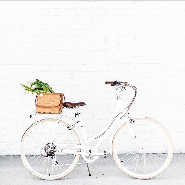 penelope_girly's tweet photo. βLife is like riding a bicycle. In order to keep your balance, you must keep moving.β β Albert Einstein, genius.
.
.
.
.
.
#weekend #mornings #happytuesday #motivate #inspire #life #getthingsdone #memories #dollbehavior #penelopegirly #winning #motivatio⦠https://t.co/axgHzhDgvW https://t.co/RcejfLL2UK