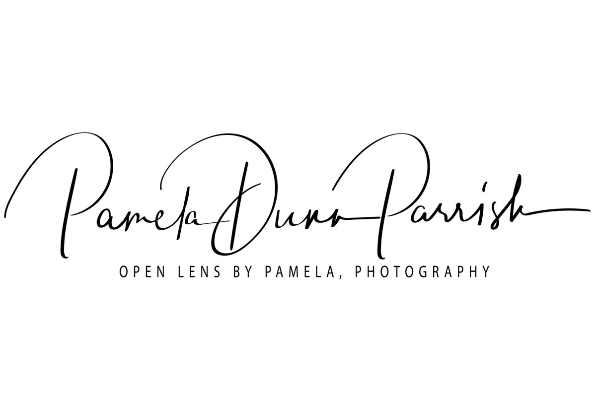 The New look for Open Lens by Pamela Photography.
#Photography #MontanaPhotography #PortraitPhotography #CommericalPhotography
buff.ly/2KVZLms     The website still needs to have all the new logos.