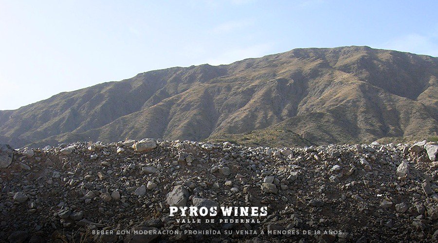 Pyros wines, vinos provenientes del suelo calcáreo del #ValleDePedernal.