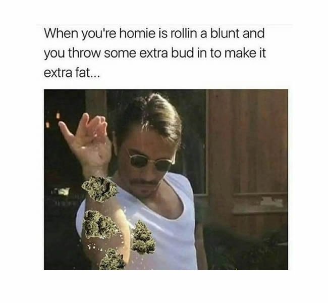 cheapweedca's tweet photo. Who knows Bud Bae? If you do, retweet this to him / her!
#cheapweed #cheapweedca #cannabis #cannabiscommunity #weedporn #fourtwenty #hightimes #leafly #dabs #dablife #smoke #thc #shatter #weed #marijuana #seventen #stoner #kush #ganja #maryjane #stoned #shatter #bud #mmj #cbd https://t.co/jQXoX6XvZj