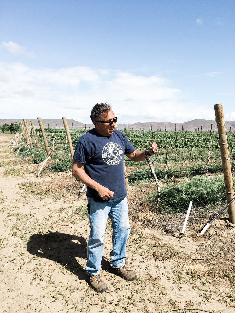 Mercer Estates tweet media