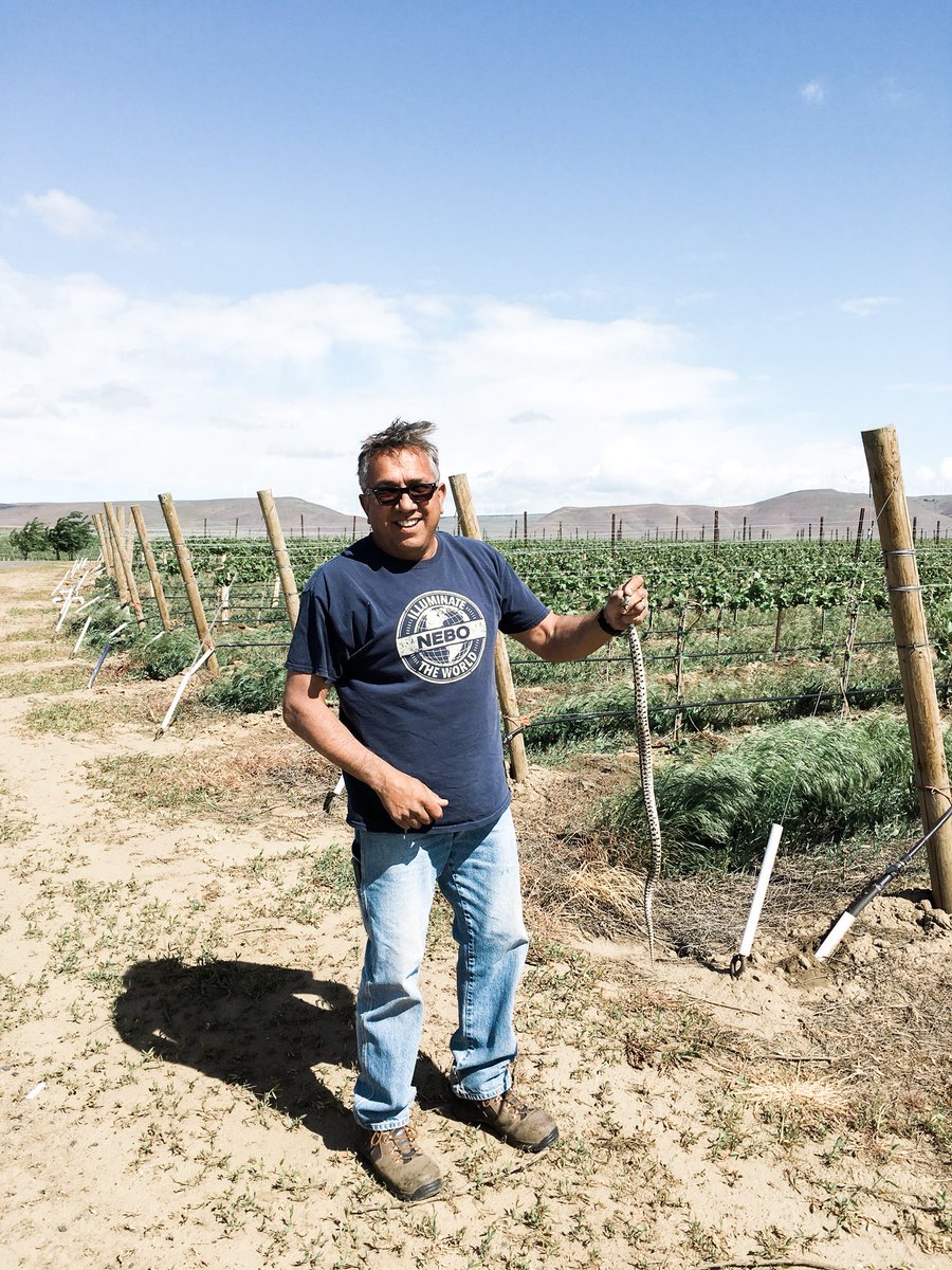 Mercer Estates tweet media