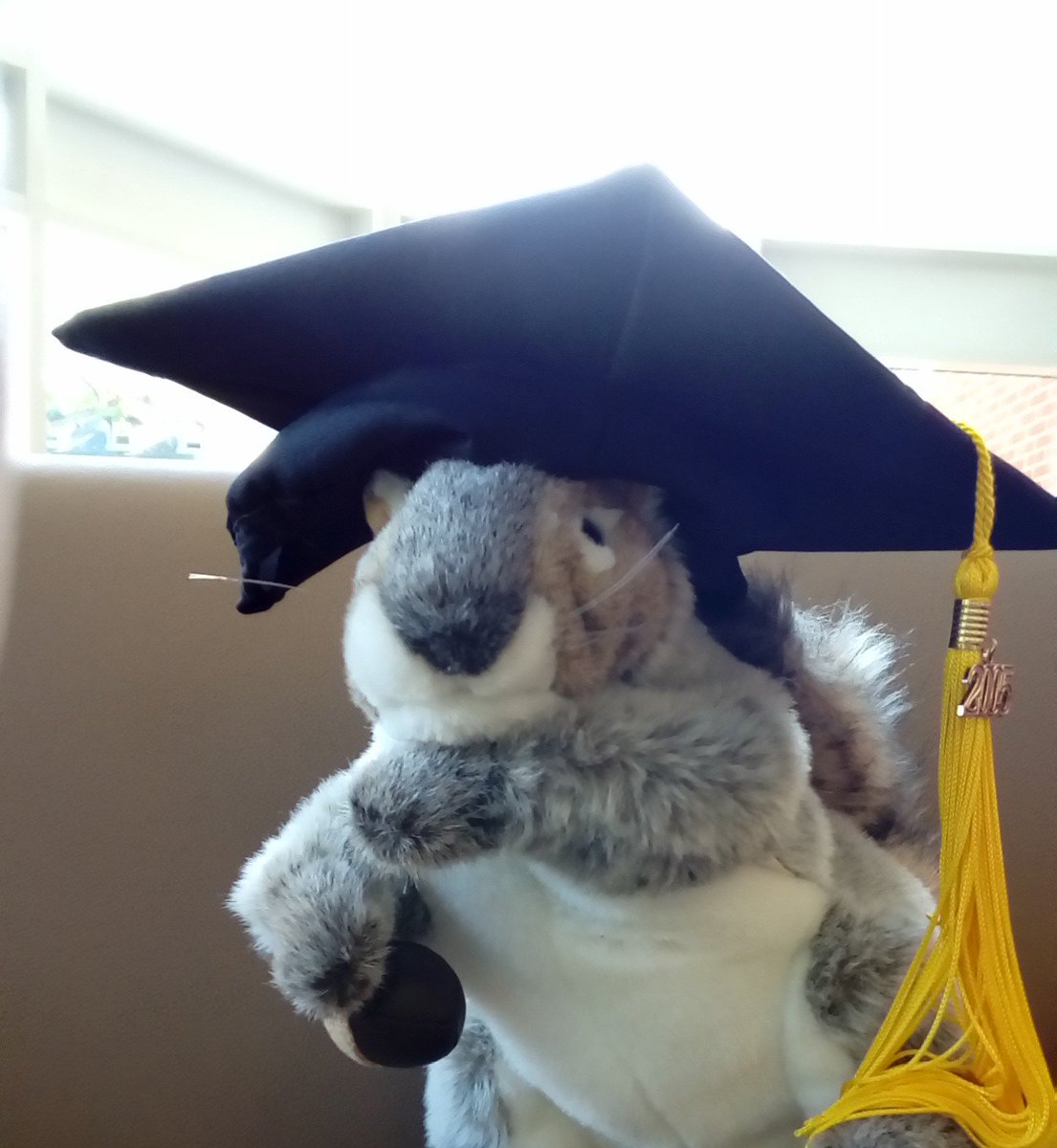 DrewULibrary's tweet photo. #LibrarySquirrel says, " #ConGRADulations to #DrewU 2018 Graduates!" The library will be open 9 am to 3 pm on Commencement day, May 12. https://t.co/zYxBBxQpQp