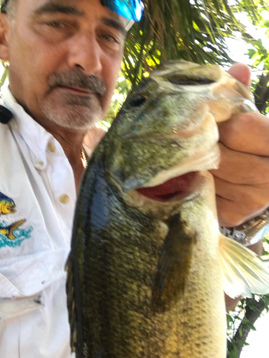 GMR_NYGFAN's tweet image. Back in action after a brief hiatus and this beauty was more then happy to accommodate along with a few family members. Great day because I was fishing. Tight lines everyone. #gmanfishin #gli #jackslures