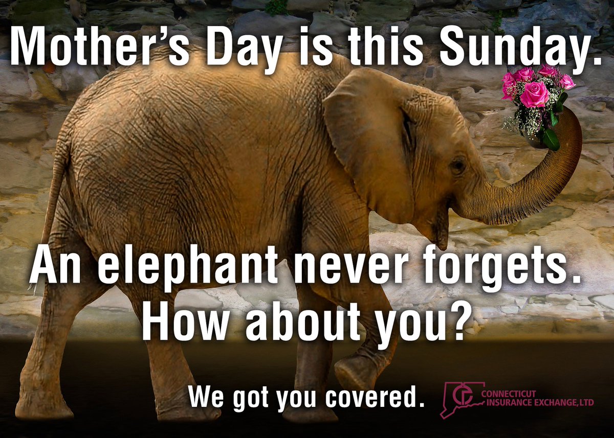 PayLessCT's tweet photo. Ah hem...
#ShowHerYouCare #HappyMothersDay #PaylessCT https://t.co/mNA2VBgGkU
