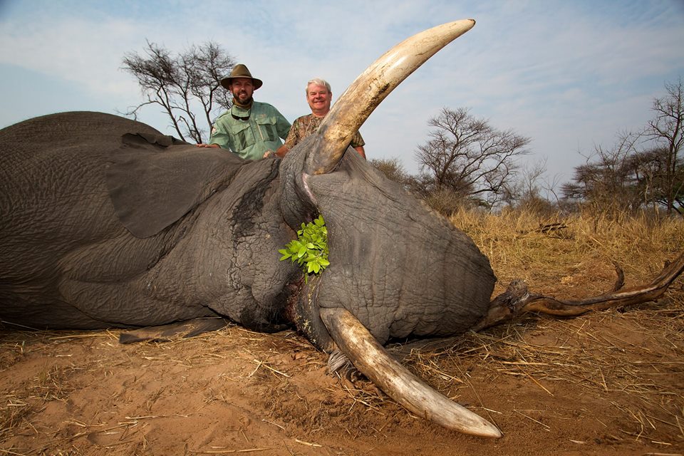 After Jofie Lamprecht killed this #Elephant he said "we do it because we love them". If you can do that to someone you love.....

RT if you want a GLOBAL ban on #TrophyHunting NOW!! 

#BanTrophyHunting NOW!!!