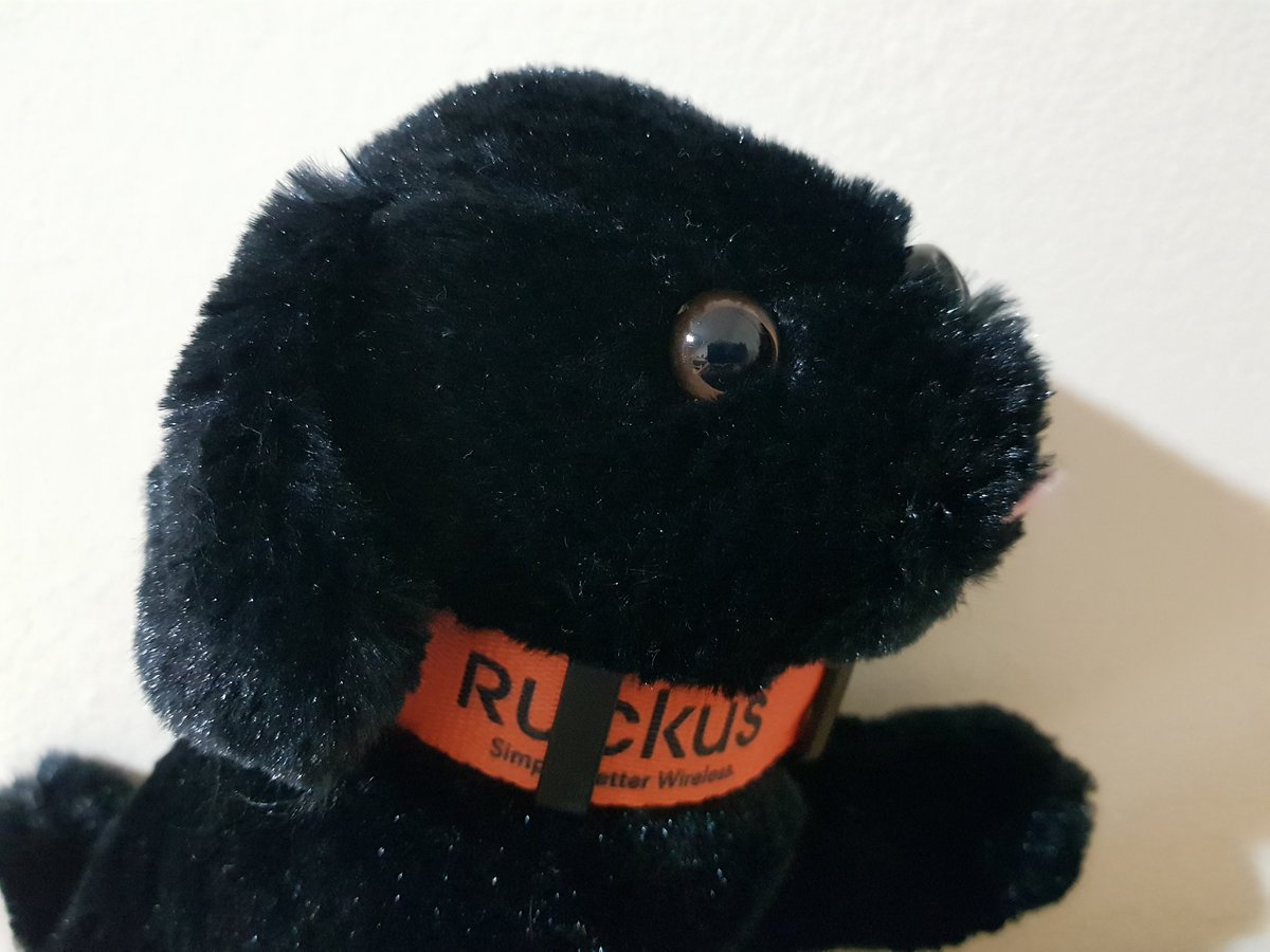ANConnect's tweet photo. #BIGDOGSMadrid ready https://t.co/tNFuHMu6oo