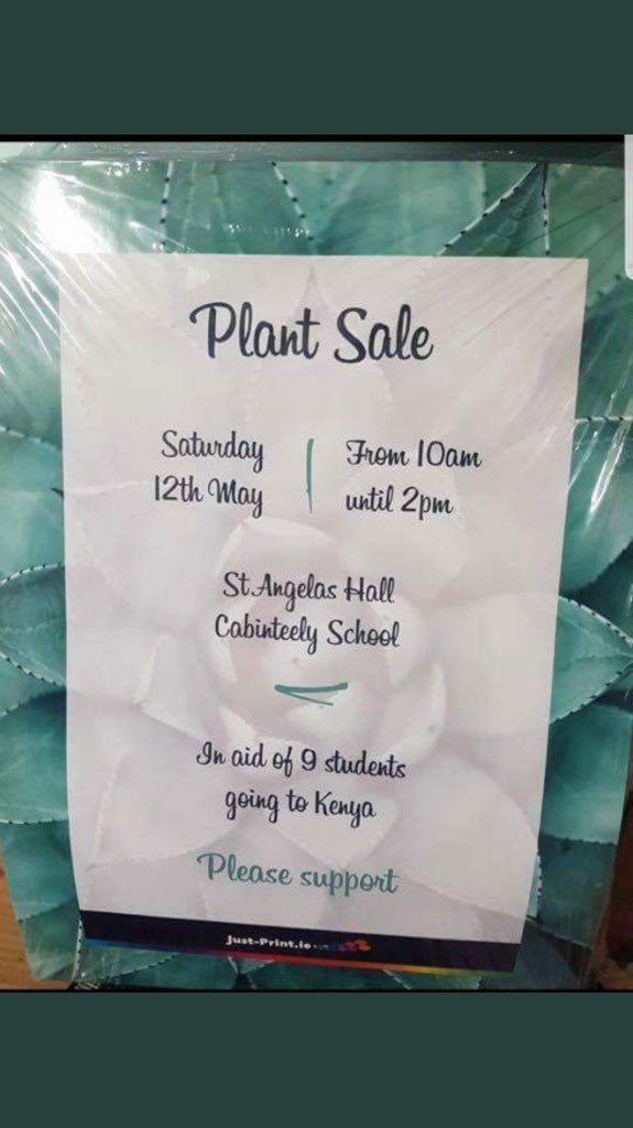 Cabinteely_Cs's tweet photo. Have you got green fingers? 🧤👩🏻‍🌾💐👨🏼‍🌾 Come visit our plant sale tomorrow, Saturday 12th from 10am-2pm at our school! Proceeds in aid of #CaboToKenya Big thanks to #GeorgeDownerLandscapes 🤗 @CabinteelyLife #Cabinteely https://t.co/zkMlRCf3Kz