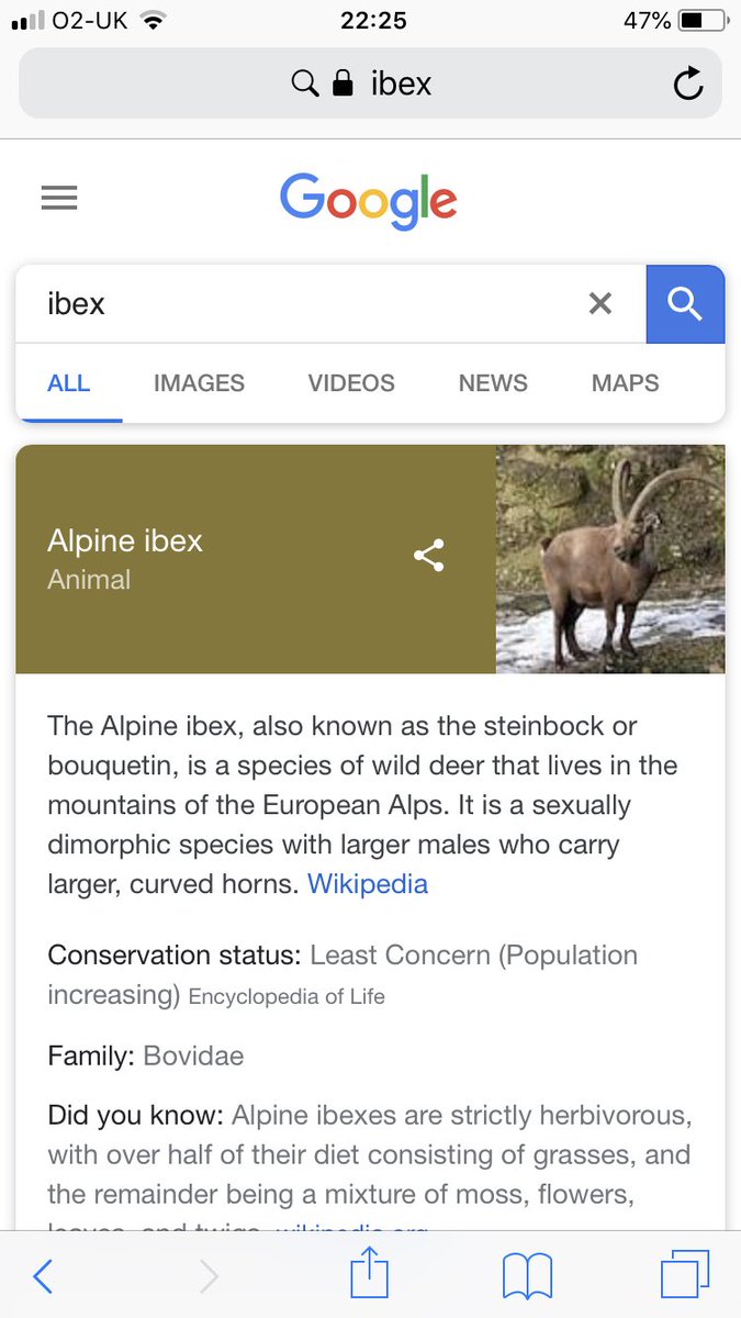 mrsmstewie's tweet image. @Wikipedia says it is a deer though? #whoiscorrect