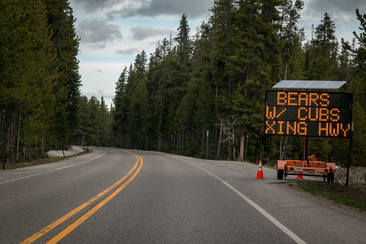 That's WY. #jacksonhole #jhdreaming