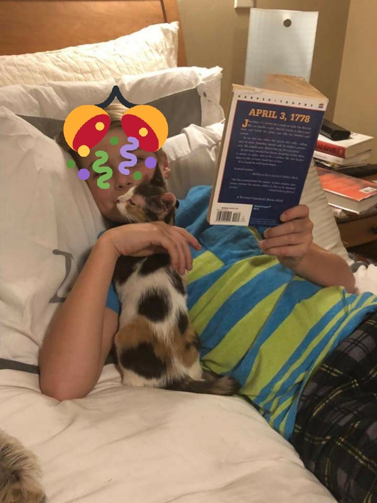 #FortheLoveofSatos CHLOE was ADOPTED Yayyyy🎉🎉💞😸🎉🎉 #AdoptDontShop #HelpPuertoRicostrays 🐈
#cats #catlove #rescuecats 
You can Help
DONATE
PayPal
Sumergrl61@aol.com
m.facebook.com/story.php?stor…