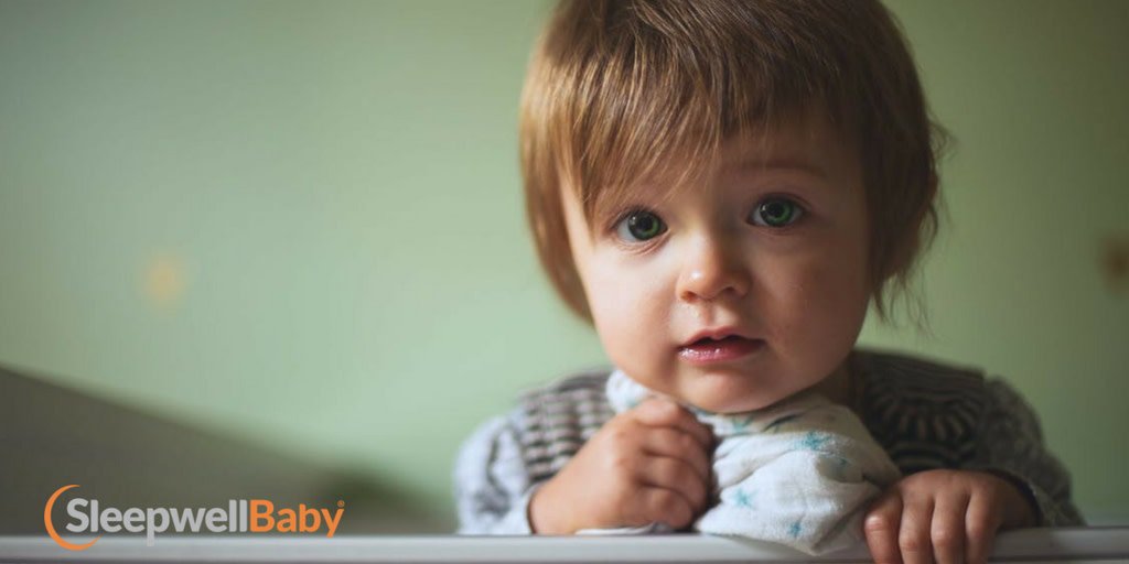 SleepwellTeam's tweet photo. When your baby fights bedtime, everyone suffers. Learn what the cause of your baby’s sleeplessness might be and what you can do to fix it. https://t.co/tpOJve4mo8
#baby #sleep #sleeping #sleepdeprived #sleephabits #bettersleep https://t.co/nHajsSc8RW
