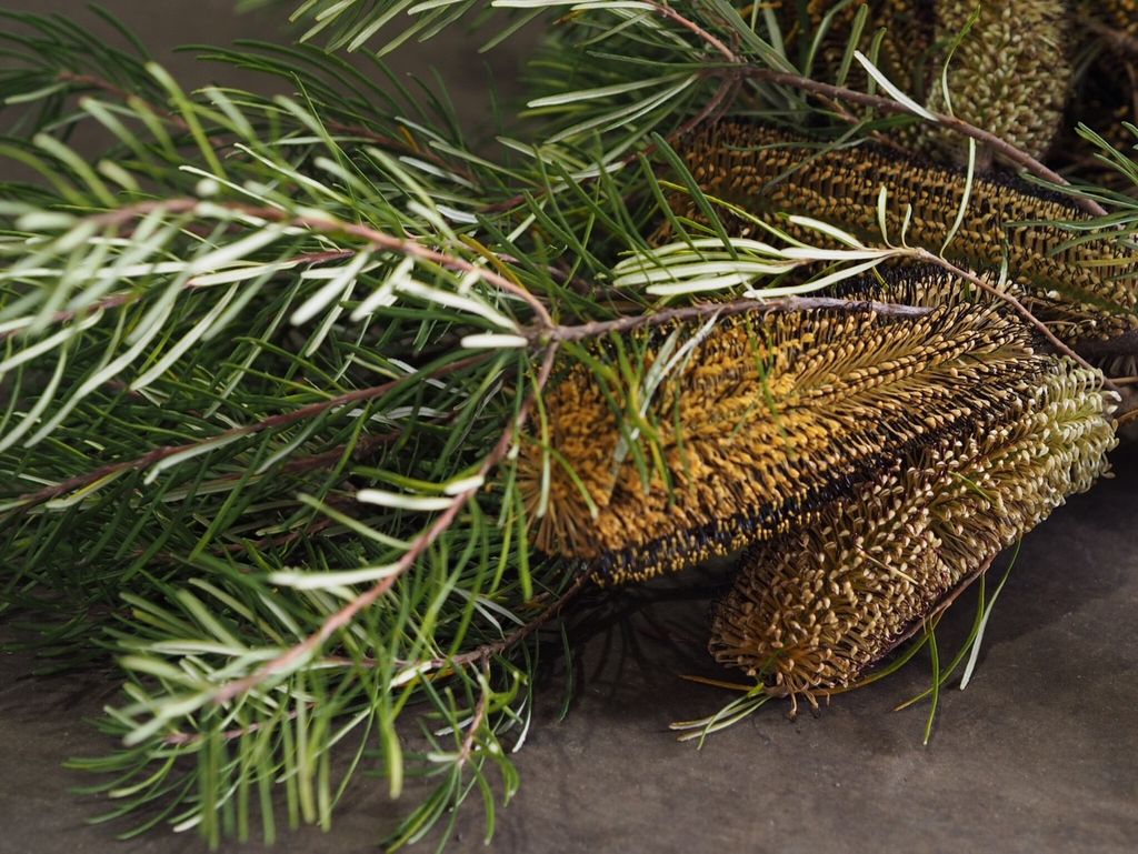 Mr Fresh Flowers (mrfreshflower1) Twitter