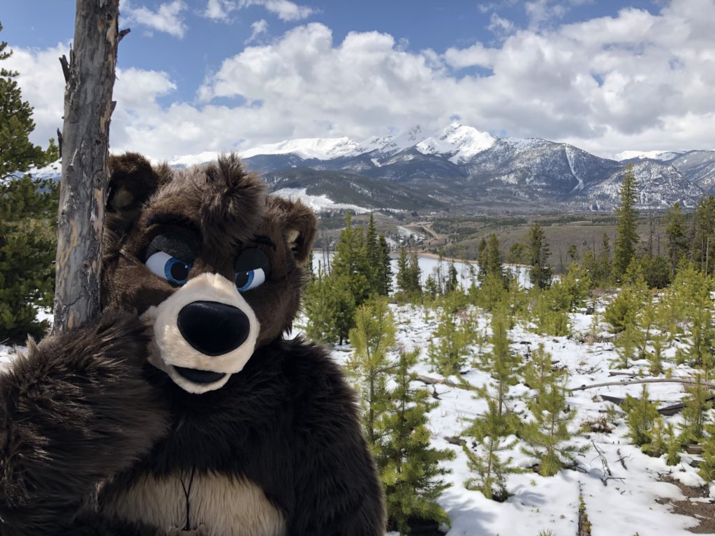 TyTyCub's tweet image. The snow is melting...hibernation is over...watch out the bears are back. #fursuitfriday