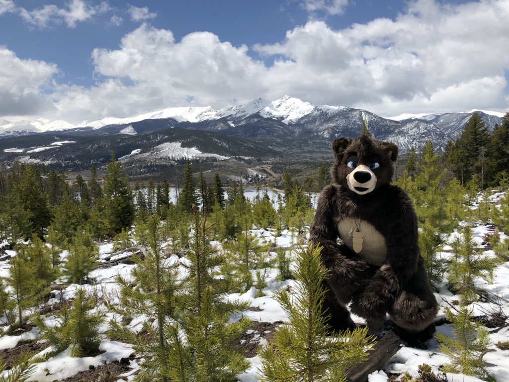 TyTyCub's tweet image. The snow is melting...hibernation is over...watch out the bears are back. #fursuitfriday