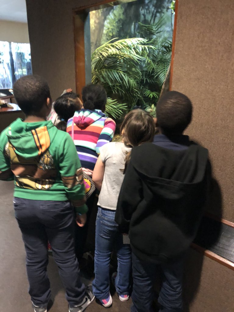 MsTrinidad301's tweet photo. This ENTIRE crew (Ss & adults) make my heart soooooooo happy! I look at these pics and just smile! Teacher appreciation week came to an end today @BronxZoo and Iβm so glad I got to spend it with #room301 ! #ThankATeacher #ThankAStudent @PS72X @Making8Great #PublicSchoolProud https://t.co/SQTjacDp6R