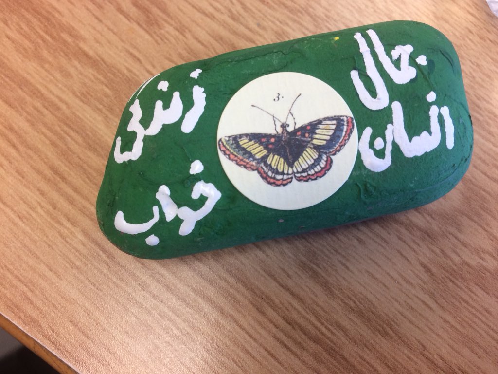 MsFolino's tweet photo. Look at these amazing kindness rocks for @MHS_YRDSB outdoor classroom! Grade 12s released some stress during this busy time of year by painting rocks that send a positive message. #mentalhealth #kindnessrockproject #OutdoorClassroom https://t.co/TbRy3tBfG1
