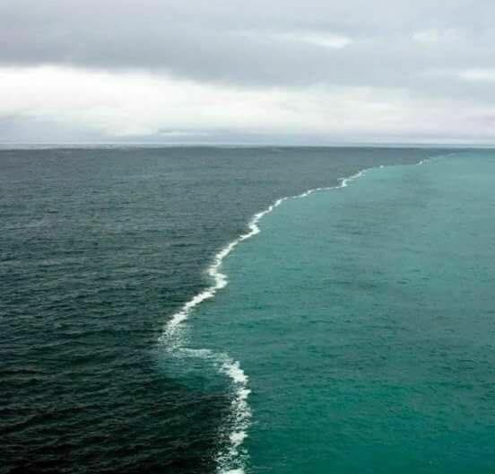 We Like To Learn The Gulf Of Alaska Where Two Oceans Meet But Never Mix