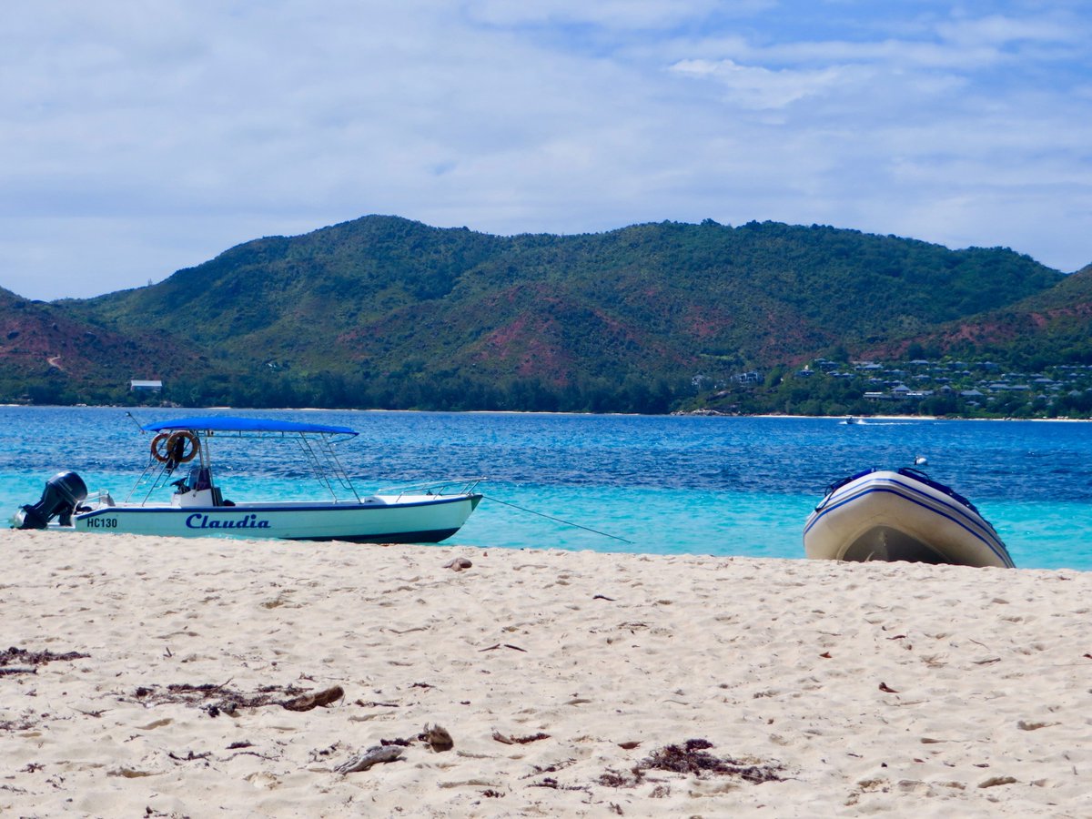 ExpertTravelers's tweet photo. Sitting under a palm tree staring out into the ocean.  What could be better?  #thegoodlife
:::::::::::::::::::
#seychelles #curieuse #beach #paradise #ocean #oceanview #oceanside #oceans #oceanlove #travel #traveler #travelers #traveling #travelling #travelgram #travelblog https://t.co/X4YKzLMnYN