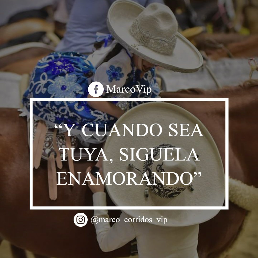 Marco Vip A Twitter Sigue Marcovip Frasesvip Escaramuza