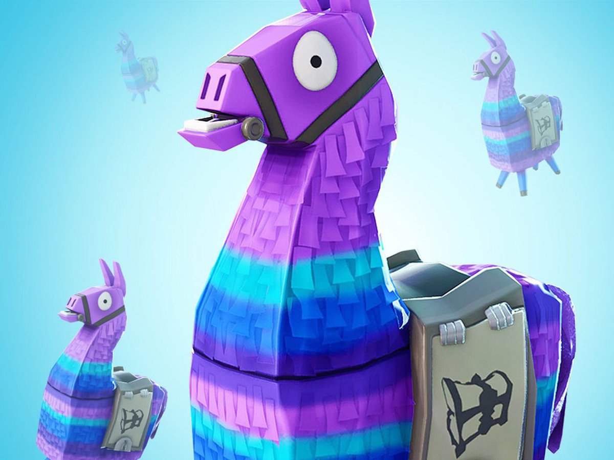 wasted because no one discovered them in a match of fortnite did they even exist if no one saw them rt to save a loot llama pic twitter com gkdg1dw9vp - wasted fortnite parody