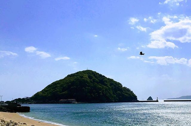 Charchan1's tweet photo. Clear wind of May.
Island Sea of Japan.

#sea #seaside #breeze  #wind #afernoon  #seaview #beautiful #landscapephotography #landscape #beach #islandsea
#瀬戸内海 #海 #松山 #北条 #愛媛 https://t.co/lwNNMewT6m https://t.co/xL6KO75O0a