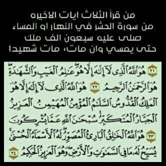 __Allp tweet picture