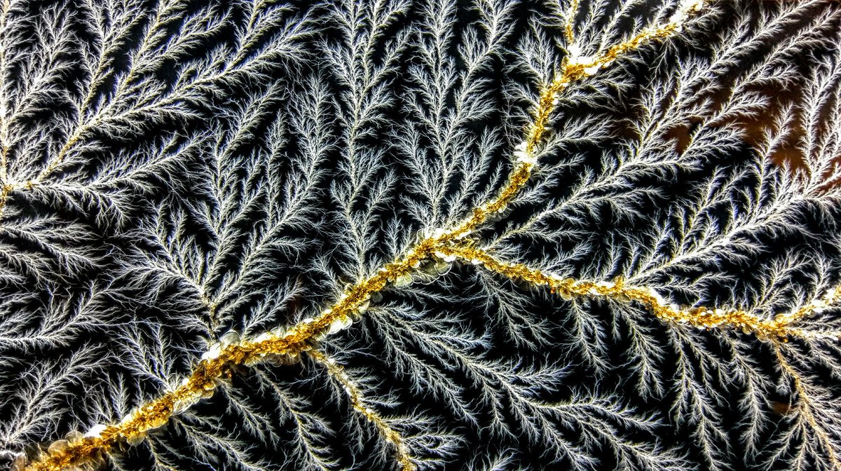 JoulesGray's tweet photo. @Lady_Physics @cancerphysicist @ESTRO_RT @ipemnews #2 How many do you want? Love me an #electrontree! Any time the bunker's empty (when we pretend the machine's gone tech) we're capturing lightning with nails n perspex #cottageindustry https://t.co/18COPhEsMy