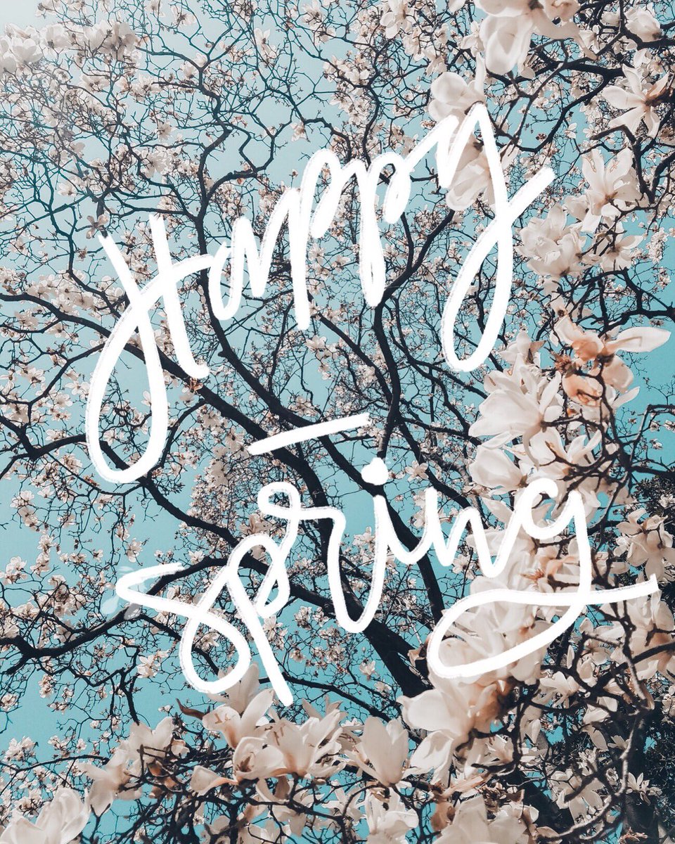 beegether's tweet image. Cherry blossom season! I wonder how they are pollinated...😉 🐝 #saveourbees 📷: @adesignkit @abeautifulmess 📸: @unsplash