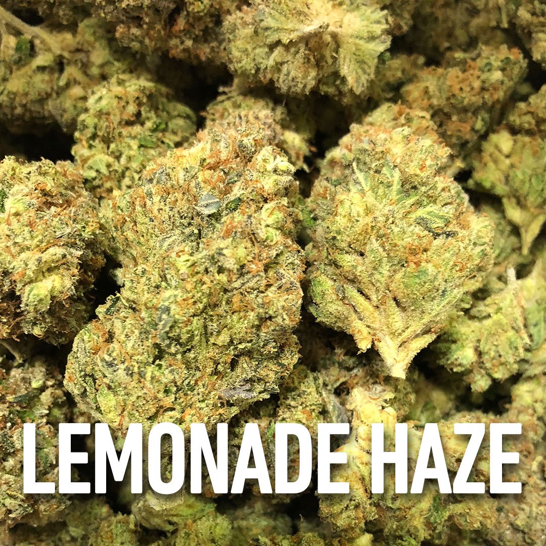 BrandNug's tweet photo. Lemonade Haze is one of the best tasting sativa smokes on the market. Looking for a happy high with energetic upside? Look no further! #NUG #NUGflower #FlowerMonth #LemonadeHaze #Sativa #NUGindoor #NUGgrow #oakland #california https://t.co/1eVXfB2Y2e
