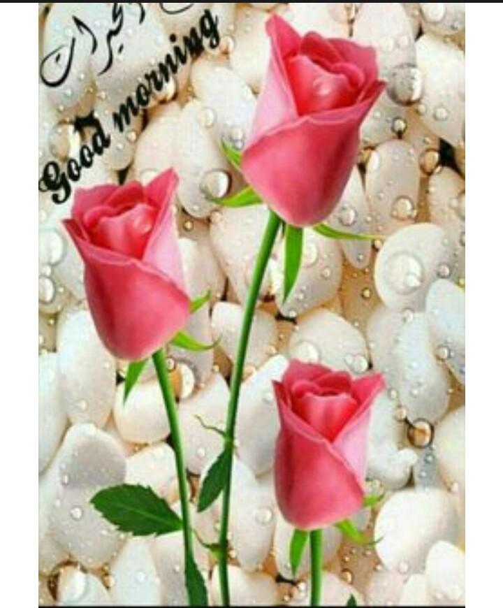 Good morning everyone
#happyWeekend