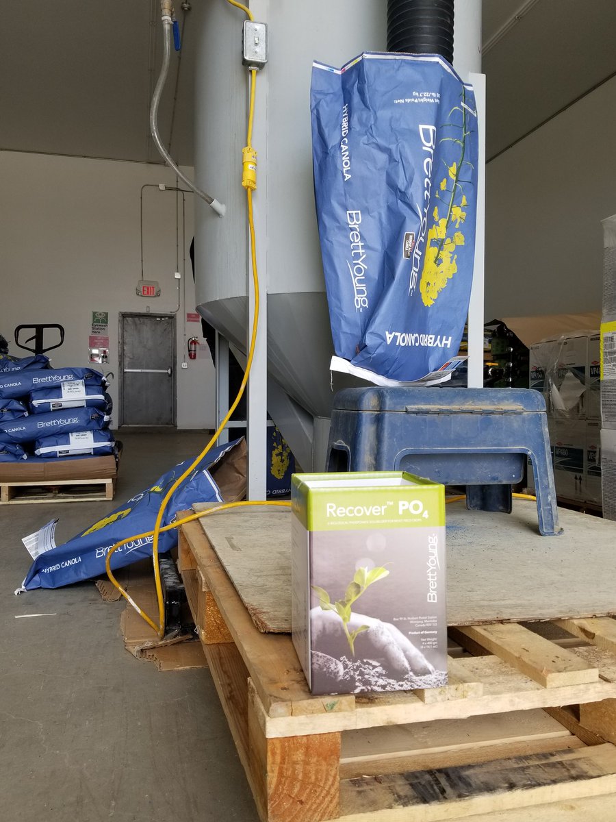 AlVanCaeseele's tweet photo. Having some fun today treating some @BrettYoungSeeds 6080RR #canola with #RecoverPO4.  Thanks @CooperS64 for the help #plant18 #WestCdnAg https://t.co/x7A1XqNpCr