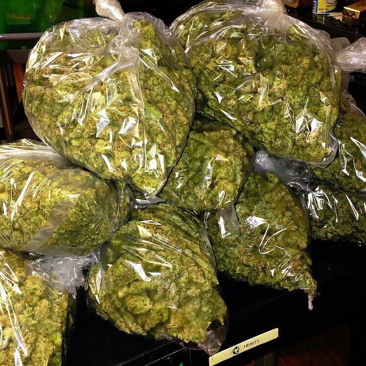 420plug2's tweet image. Ypu don't wanna know how the black Friday is going over here 😂😂😂😂😂😂😂😂