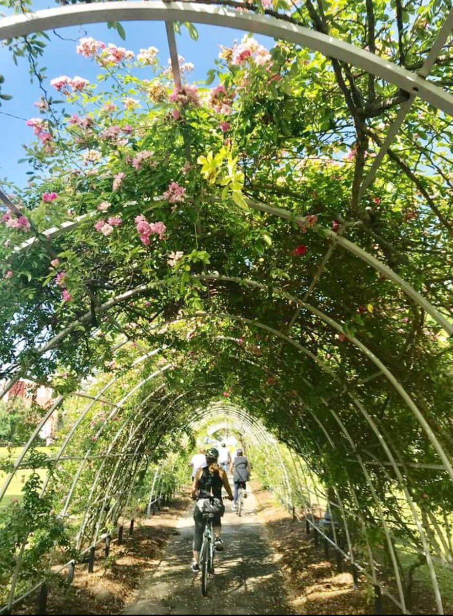 SPARJax's tweet image. One of our favorite ways to enjoy the upcoming Historic Springfield Tour of Homes (on May 19 &amp;amp; 20) and explore the neighborhood is the guided bicycle tour provided by @e2ridebiketours, May 19th @ 1pm. Buy your Tour of Homes tickets for a *discount* now at springfieldtour.com