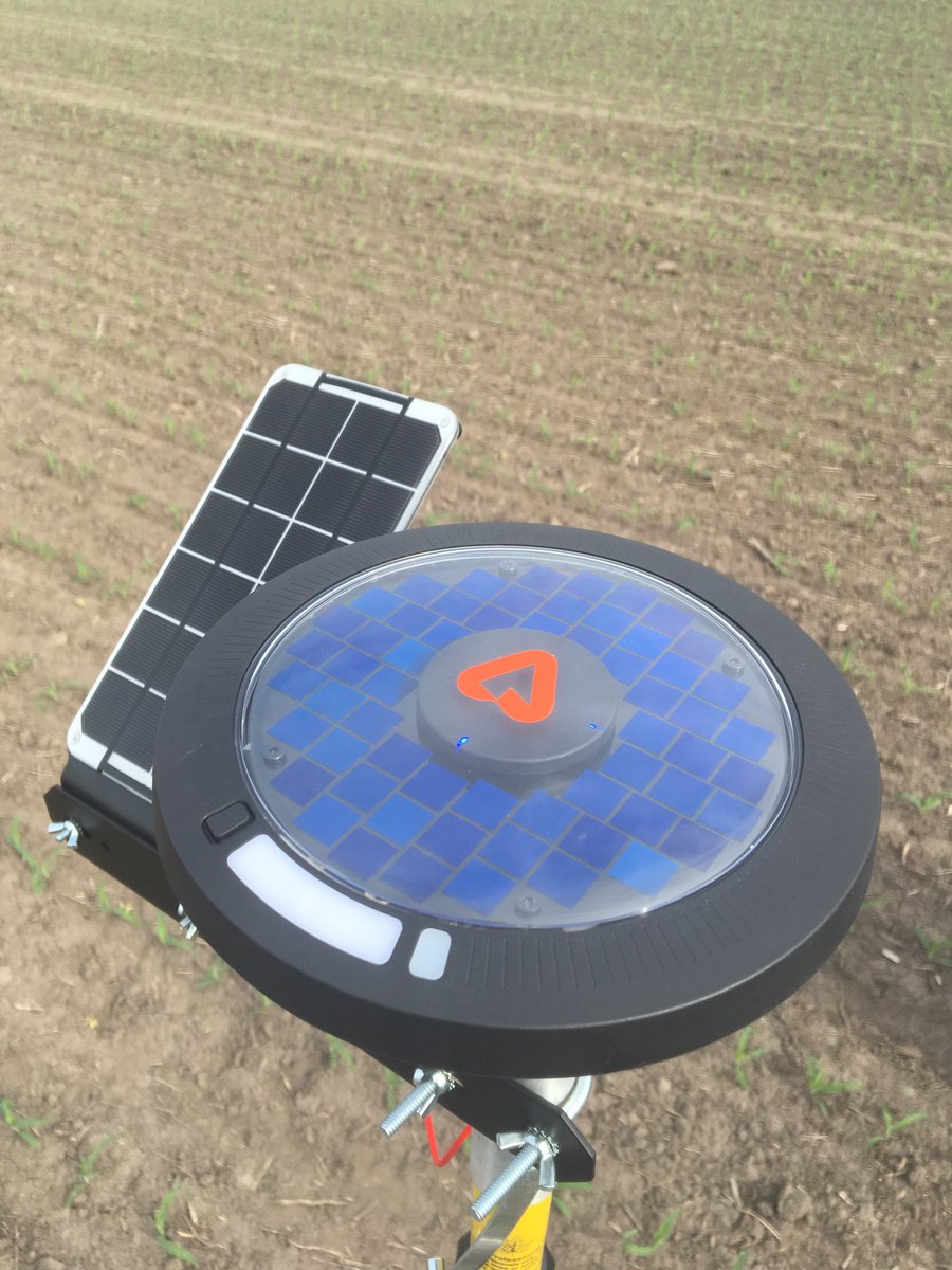 MiFieldGuy's tweet image. Sensors, imagery, modeling and intense management on this field.  We will see what we can learn and apply for 2019! #mifield