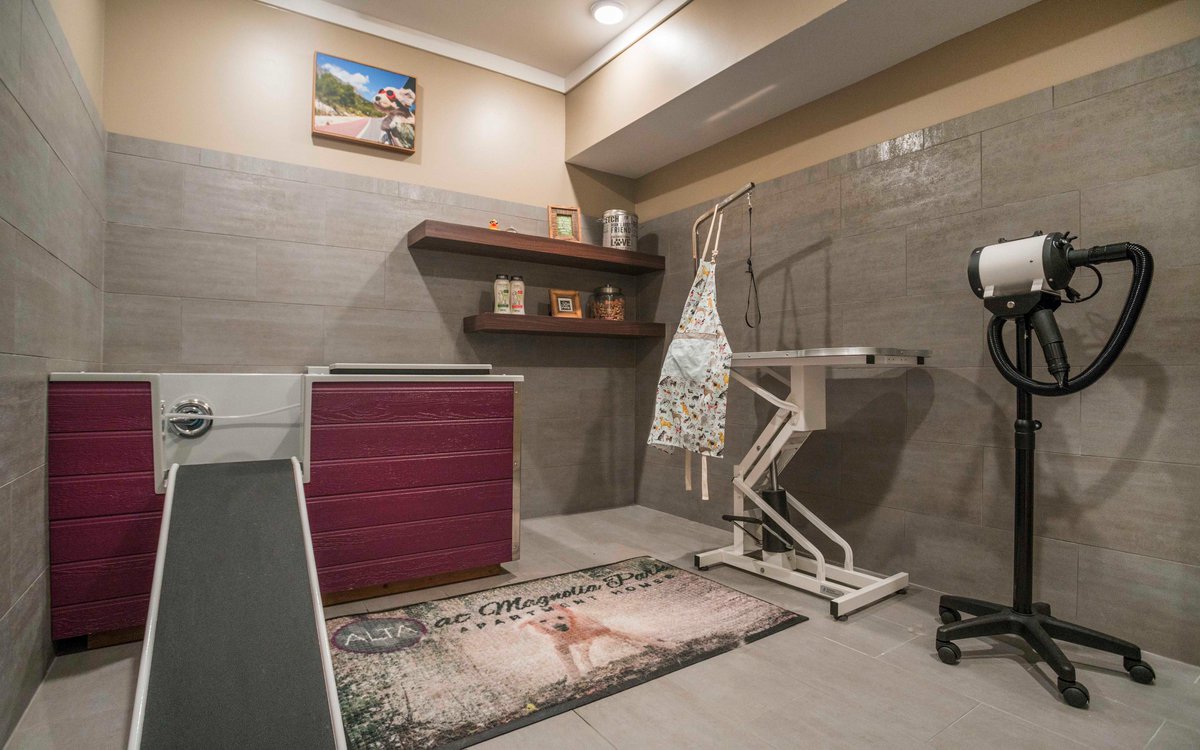 Even our pups get spoiled thank to our resident #PetSpa!