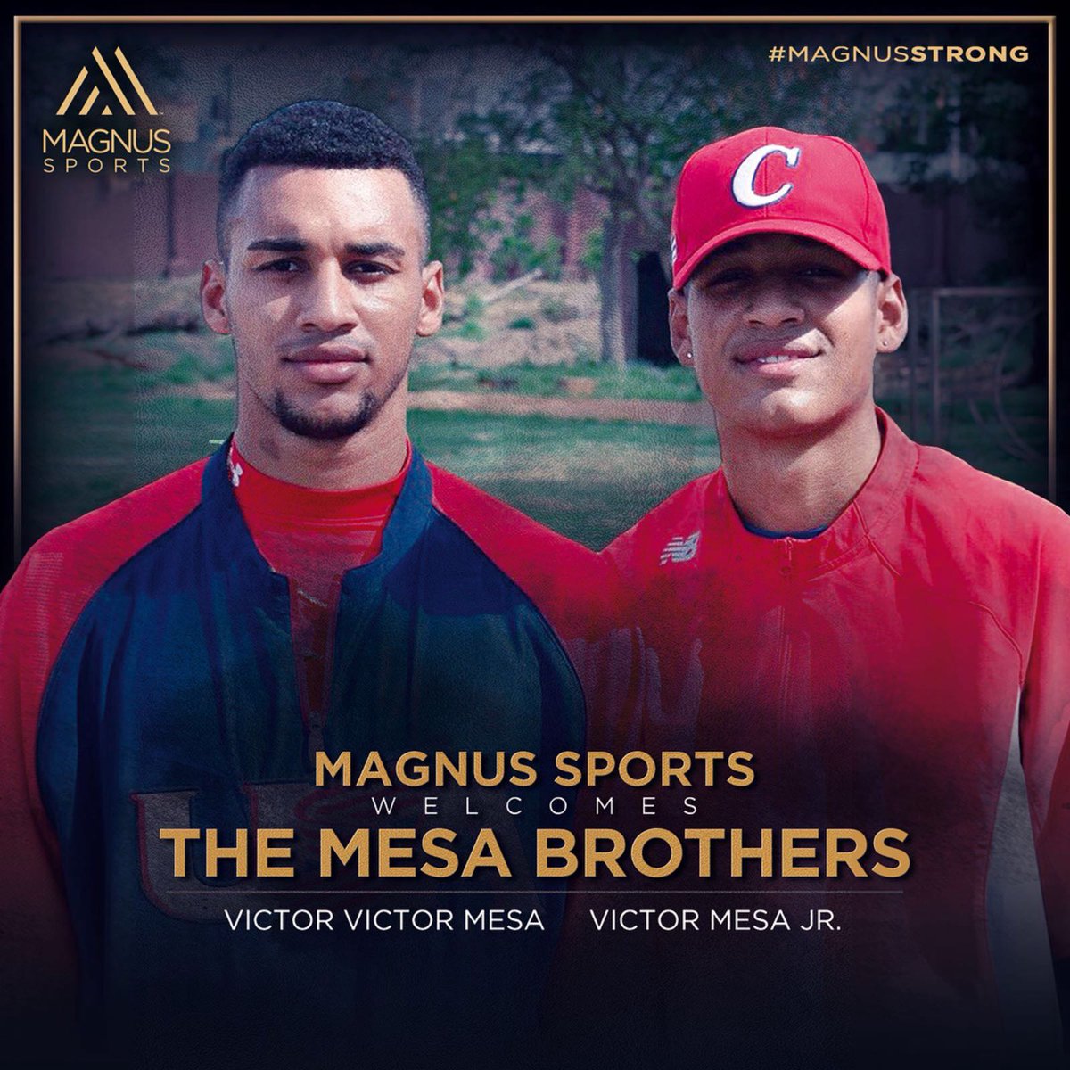 MarcAnthony's tweet photo. Bienvenidos a la familia // Welcome to the Family.

#Repost @magnussports
・・・
Welcome home @victorvmesa @victormesajr10. We are so excited for the world to see that you are #MagnusStrong 💪💪💪 #MLB #baseball #victorvictor #victorjr https://t.co/dQQaEI2ozr