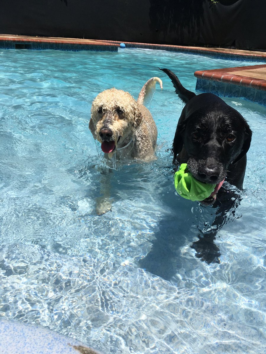 PPRNewOrleans's tweet photo. It's Friday so that means it's time to have fun! https://t.co/AgltNfjlpR