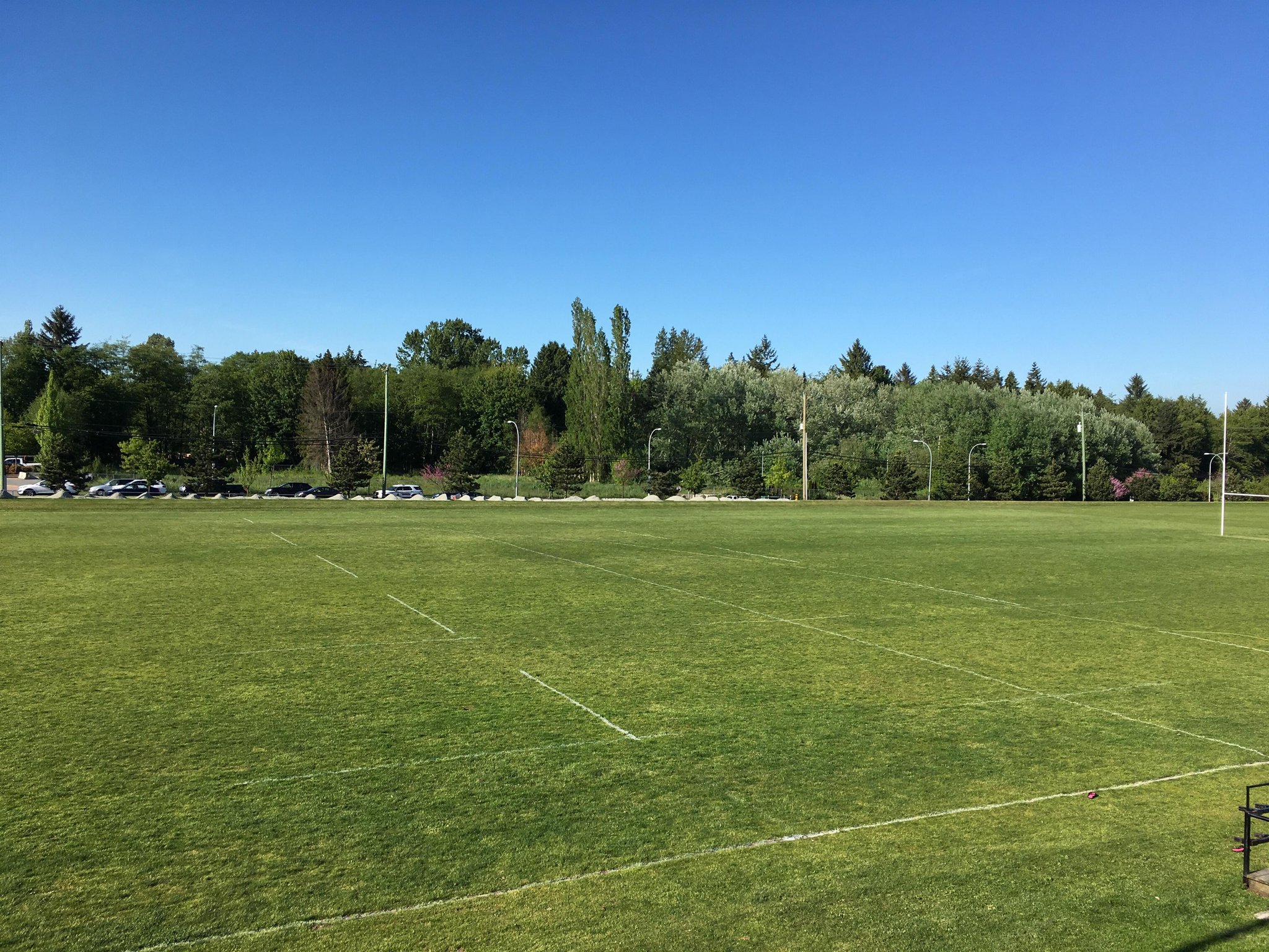 Surrey Beavers Rugby on Twitter "Pitch is ready to go!…