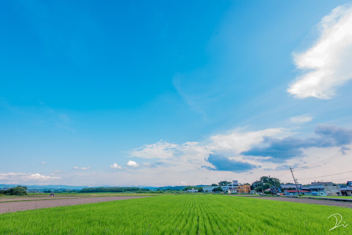 稲田大樹 うさだぬ 郷愁の風景 ノスタルジックを愛する人へ T Co E6q7zad8pz Twitter