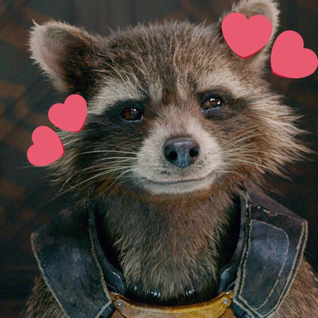 【 Single or not. 】

 ↳ Whoever RTs this, would TREAT ROCKET WITH RESPECT AS A PERSON NO MATTER HOW HE LOOKS 

    ↳ Whoever likes this, WOULD LOVE AND SUPPORT HIM 

【 If you're brave enough, copy and paste. 】