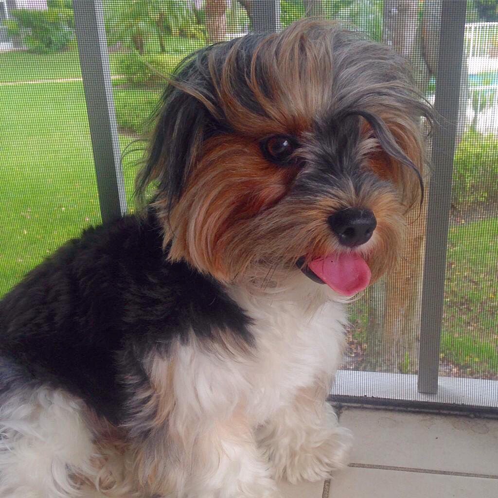 Happy weekend. Make somebody smile and you'll be smiling too. #smile #vibes