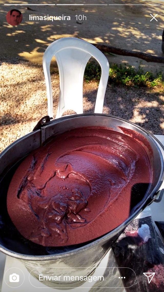 sapajos's tweet image. Ei amigas. Os pais do meu amigo têm uma plantação de açaí la no Pará e estão vindo aqui pra Palmas domingo. É açaí orgânico, puro e sem NENHUMA adição, 12 teais a poupa de 1 kg (tem meu selo paraense de qualidade). Quem se interessar fale comigo!!!