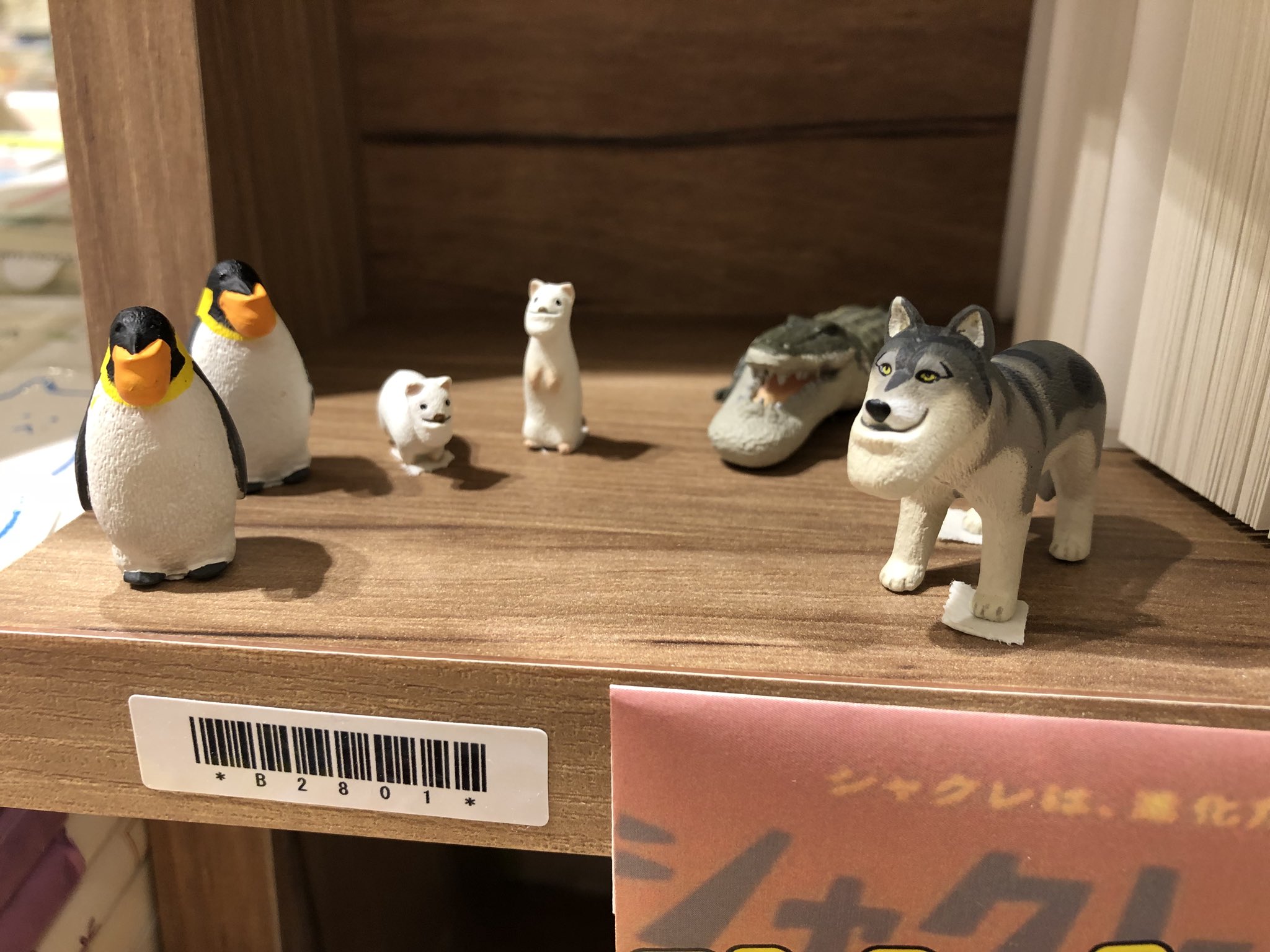 三省堂書店名古屋本店 Ar Twitter あの 超人気ガチャがマンガになりました 当店ではしゃくれ動物達がお出迎えしております ぜひご来店下さいませ あなたも読んだらシャクレてしまうかも シャクレルプラネット Kadokawa T Co In6z2zgazz Twitter