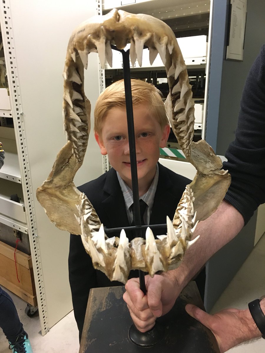 herr_knauff's tweet image. #FieldMembersNight #futureexplorers #futurescientists #currentlyawesome