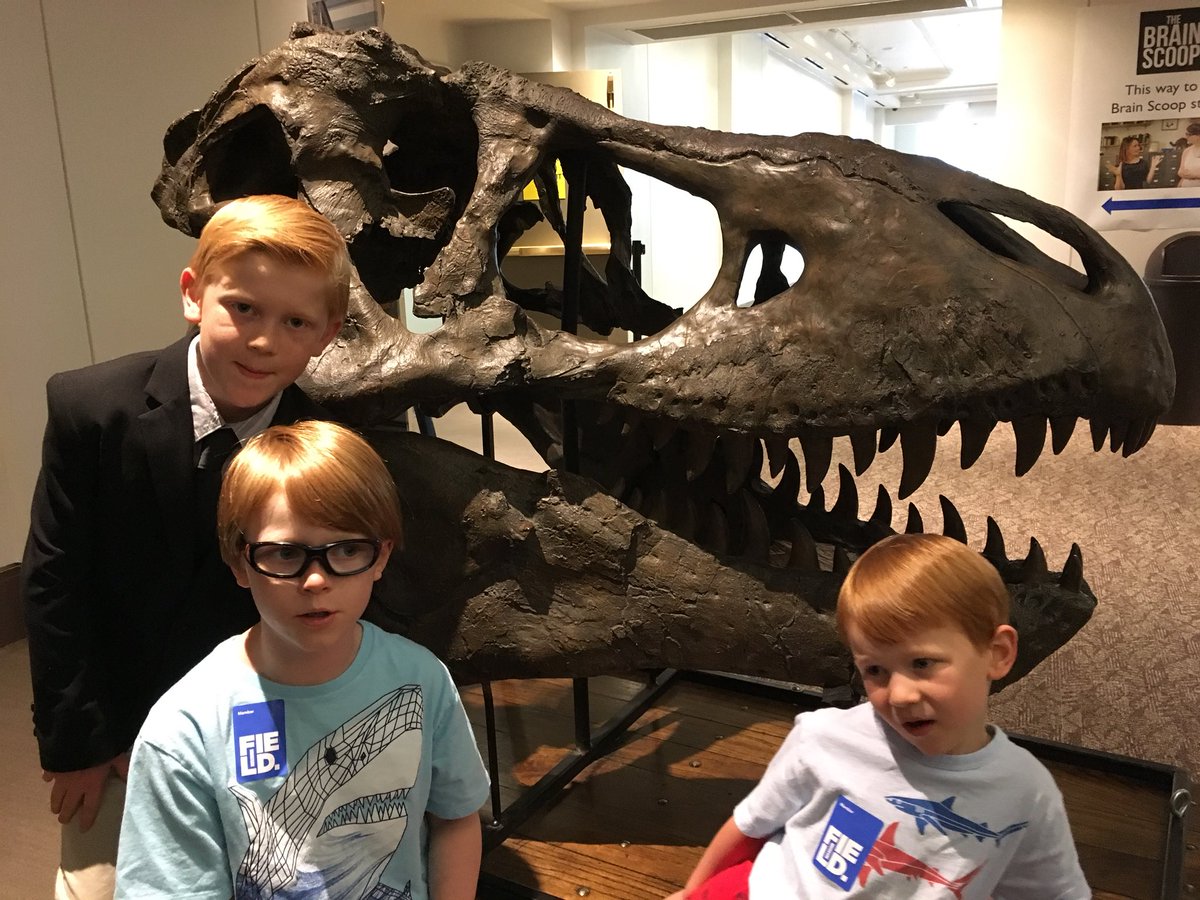 herr_knauff's tweet image. #FieldMembersNight #futureexplorers #futurescientists #currentlyawesome