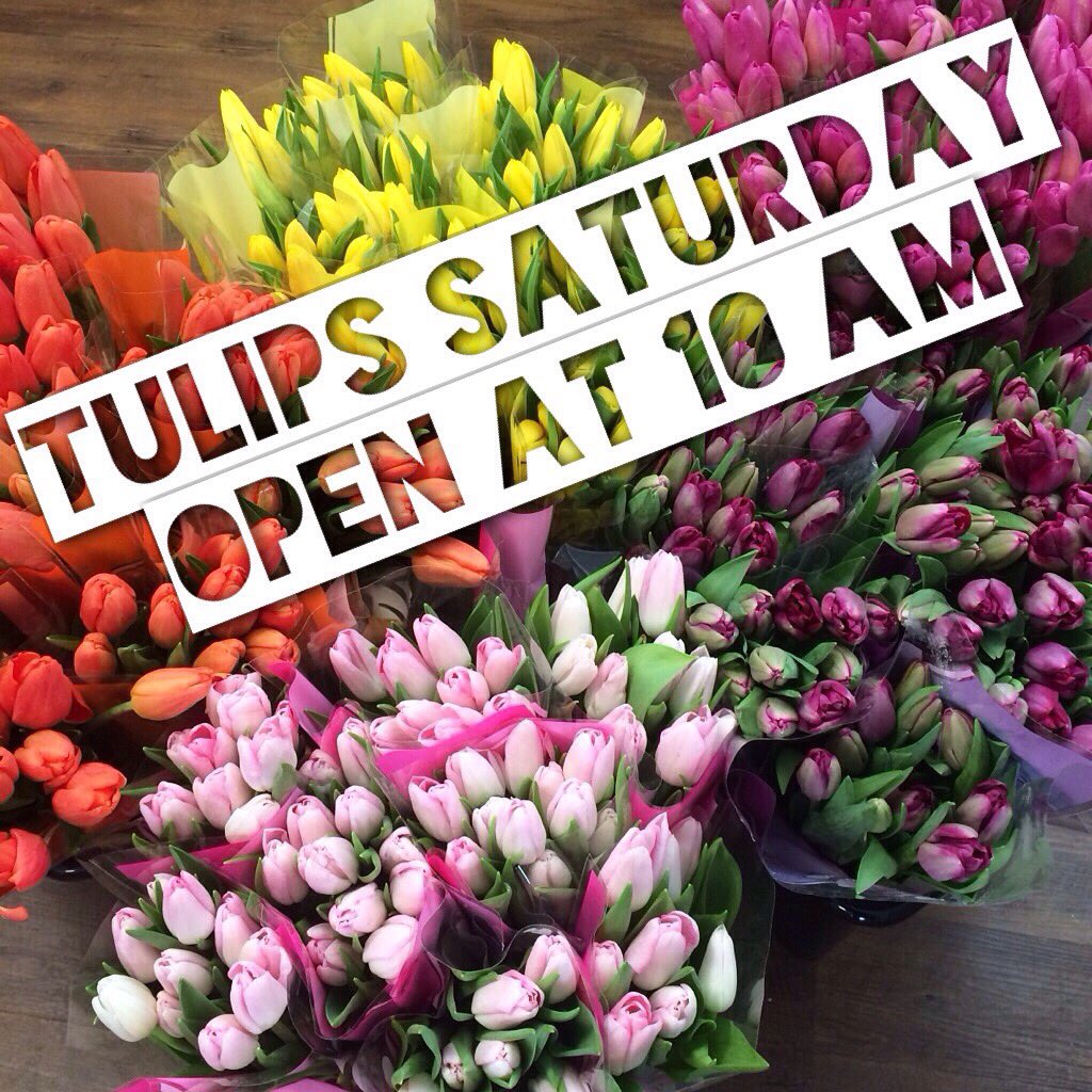 BySharpeDesign's tweet photo. Our new location is really coming together! Can't wait to share all the beautiful details with you this Saturday during our #TulipsAndTeacups Sale at 173 Elizabeth Avenue, 10am-5pm 😊 https://t.co/DEZGkqoVHz